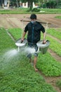 Vietnam People, Vietnamese Farmer, Travel Royalty Free Stock Photo