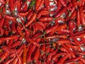 Vietnam, Quang Nam Province, Hoi An City, Old City listed at World Heritage site by Unesco, the Market, Stall with Hot Peppers Royalty Free Stock Photo