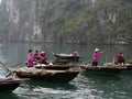 Vietnam, Quang Ninh Area, Halong Bay or Ha Long Bay Unesco World Heritage Site, Vung Vieng Fishing Floating Village Royalty Free Stock Photo