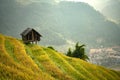 Vietnam Rice fields on terraced