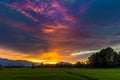 Vietnam Rice Paddy Field Royalty Free Stock Photo