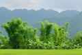 VIetnam - rural scene Royalty Free Stock Photo