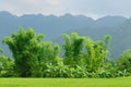 VIetnam - rural scene