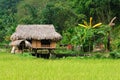 VIetnam - rural scene Royalty Free Stock Photo