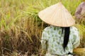 VIetnam - rural scene Royalty Free Stock Photo