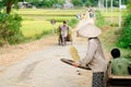 VIetnam - rural scene at harvests of the rice