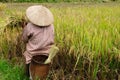 VIetnam - rural scene