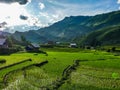 Vietnam Sapa Rice fields view