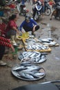 Vietnam southeast asia outdoor fish market travel food