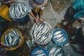 Vietnam traditional fish market people selling fresh fish on the sidewalk Royalty Free Stock Photo