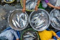 Vietnam traditional fish market people selling fresh fish on the sidewalk Royalty Free Stock Photo