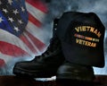 Vietnam Veteran Royalty Free Stock Photo