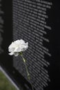 Vietnam Veterans Memorial Wall