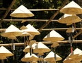 Vietnam: vietnamese conic hats