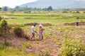 Vietnam, vietnamese people working at countryside Royalty Free Stock Photo