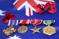 Vietnam war naval fleet air arm service medals