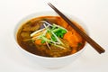 Vietnamese Beef Stew (Bo Kho)