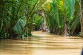 Vietnamese boatman in the Mekong Delta Royalty Free Stock Photo