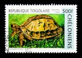 Vietnamese Box Turtle (Cuora galbinifrons), serie, circa 1996 Royalty Free Stock Photo