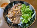 Vietnamese braised beef rice noodle served with vegetables and peanuts Royalty Free Stock Photo