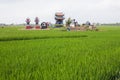 Vietnam, Bac Ninh province. Cemetery in rice field
