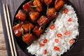 Vietnamese caramel pork with garnish of rice close-up on a plate