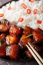 Vietnamese caramelized pork belly with rice macro. Vertical