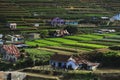 Vietnamese Central Highlands Agriculture Royalty Free Stock Photo