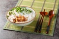 Vietnamese Chicken Glass Noodles Soup closeup on the bowl. Horizontal