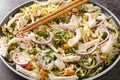 Vietnamese Chicken Salad Goi Ga Bap Cai of chicken, cabbage, carrots, onions and coriander, mixed with a sweet and savory fish