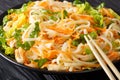 Vietnamese chicken salad with rice noodles, carrots and herbs ma Royalty Free Stock Photo