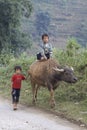 Vietnamese Child on Water Buffalo