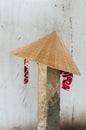 Vietnamese conical hat