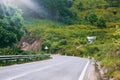 Vietnamese countryside with wild sunflower bloom in yellow along street, Dalat is city for travel, with beauty landscape, beauty