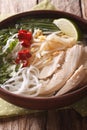 Vietnamese cuisine: soup Pho Ga with chicken, rice noodles and f Royalty Free Stock Photo