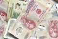 Vietnamese dong banknotes close-up. Money background. Vietnamese currency - dongs. Royalty Free Stock Photo