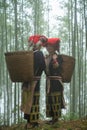 Vietnamese ethnic minority Red Dao women in traditional dress and basket on back in misty bamboo forest in Lao Cai, Vietnam