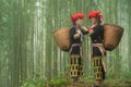 Vietnamese ethnic minority Red Dao women in traditional dress and basket on back in misty bamboo forest in Lao Cai, Vietnam