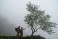 Vietnamese ethnic minority Red Dao women in traditional dress and basket on back with a tree in misty forest in Lao Cai, Vietnam Royalty Free Stock Photo