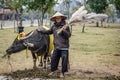 Vietnamese farmer with buffalo in Ninh Binh Royalty Free Stock Photo