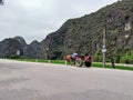 Vietnamese farmer on cow carriage