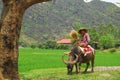 Vietnamese farmer riding water buffalo Royalty Free Stock Photo