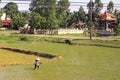 Vietnamese farmer and temple