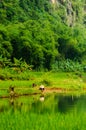 Vietnamese farmer washing tools in river.