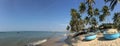 Vietnamese fishing coracles on beach