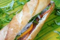 Vietnamese food, banh mi Royalty Free Stock Photo