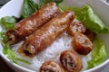 Vietnamese food, spring roll, bun,cha gio Royalty Free Stock Photo