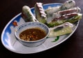 Vietnamese Fresh Spring Rolls