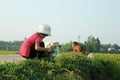 Vietnamese girl is helping her mother a farmer working Royalty Free Stock Photo