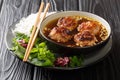 Vietnamese Grilled Pork Meatballs with Vermicelli Noodles Bun Cha is a classic Northern Vietnamese dish closeup in the plate.